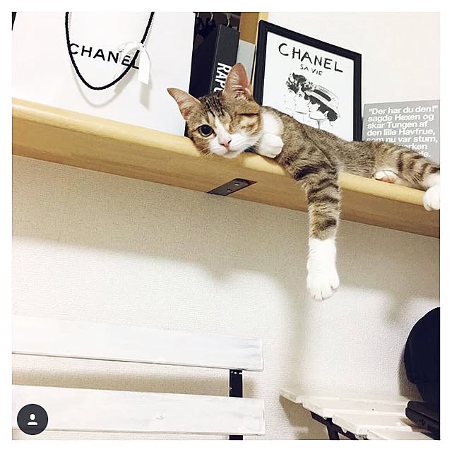 chiroさんの実例写真