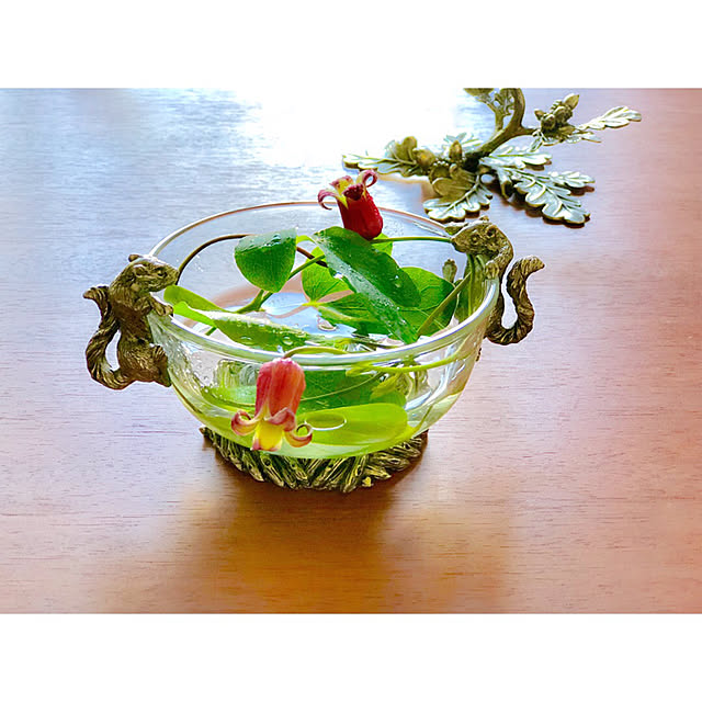 soleilさんの実例写真