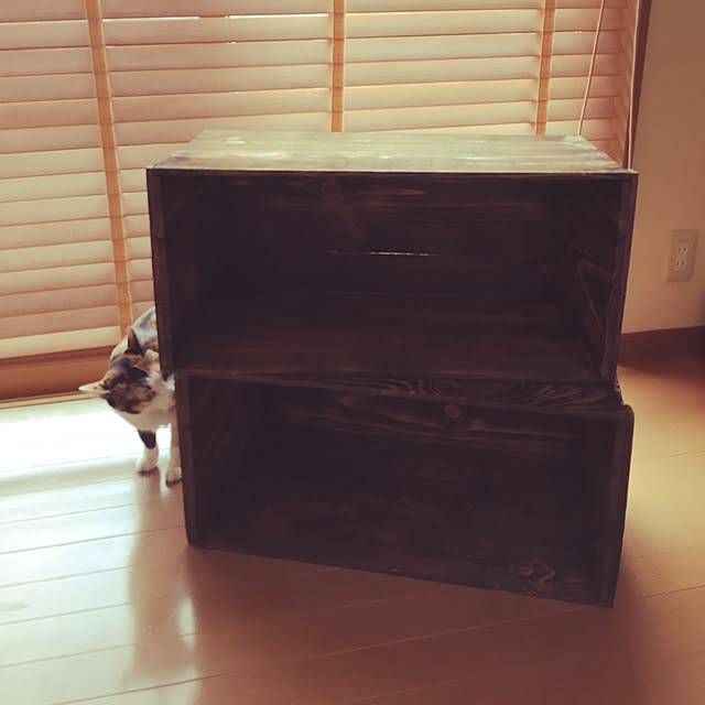 mayugonさんの実例写真