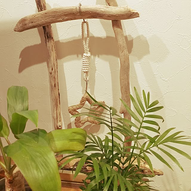 mohirocoさんの実例写真