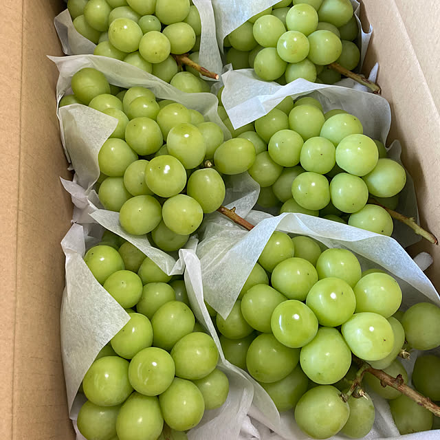 LoveMさんの部屋