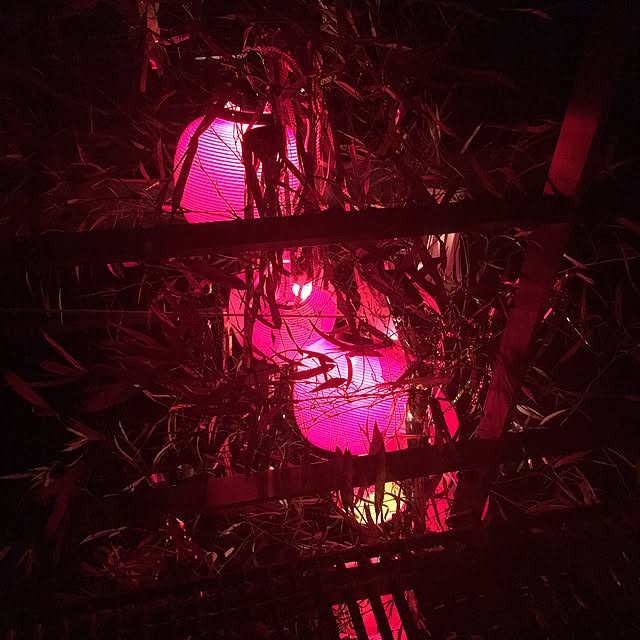 taitaiさんの実例写真