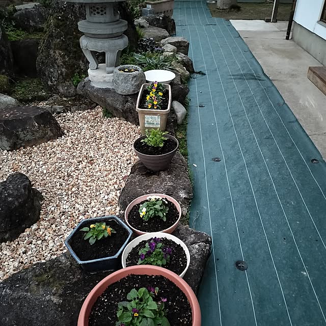 sumimarumiさんの部屋