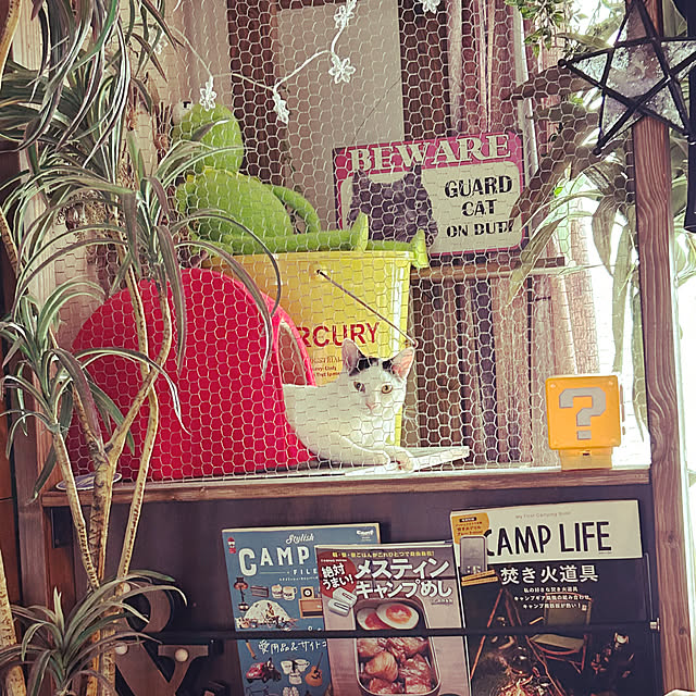 muupoupepeさんの実例写真