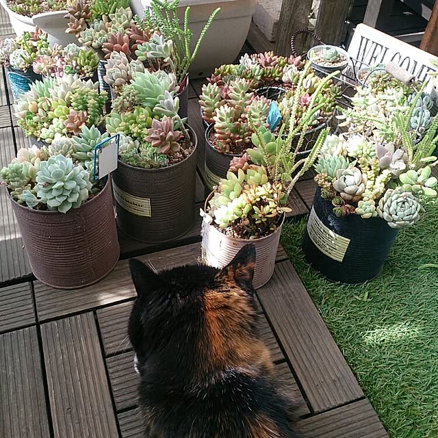 moonさんの実例写真