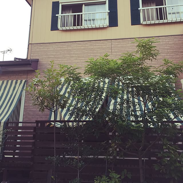 aranさんの実例写真