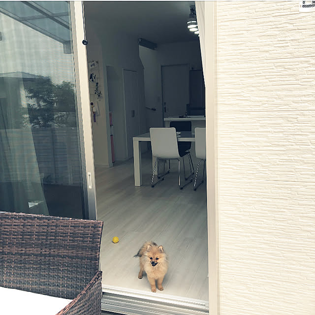 naaさんの実例写真
