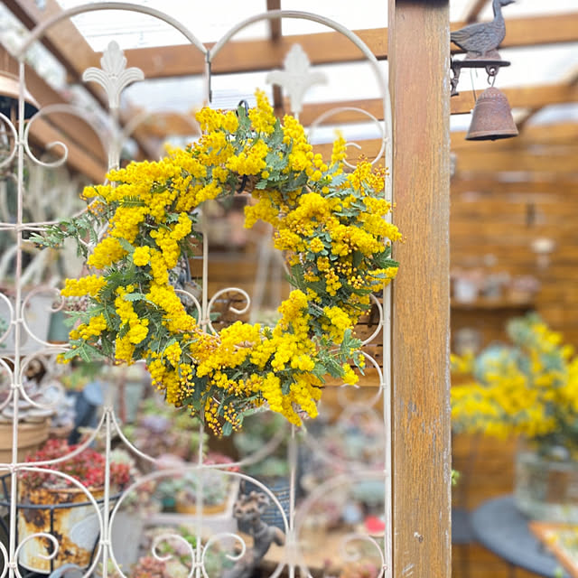 mintteaさんの部屋