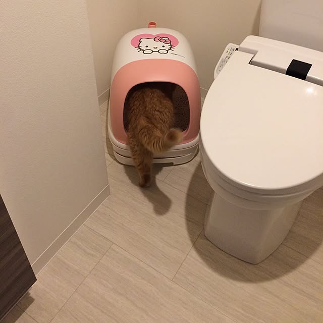 mamizoさんの実例写真