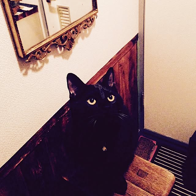 Naoki.さんの実例写真