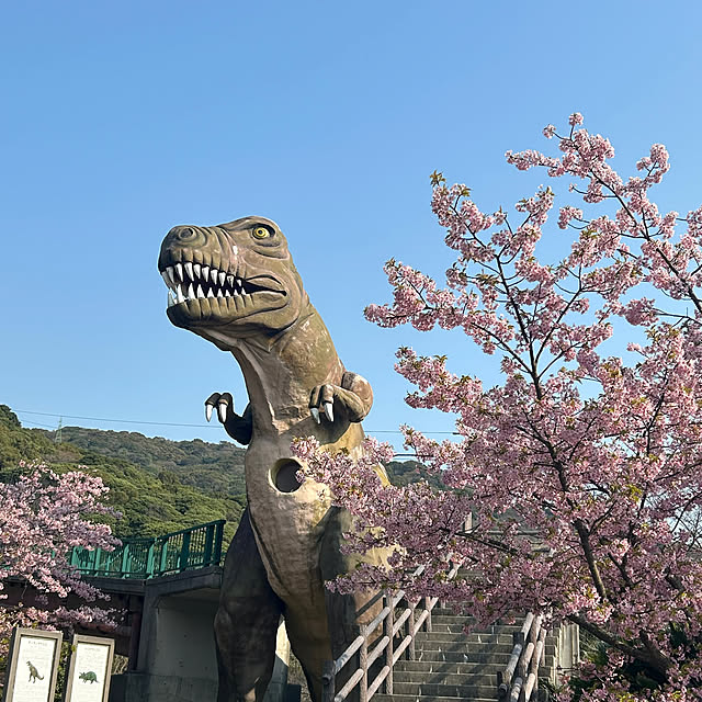 ritsukoさんの部屋
