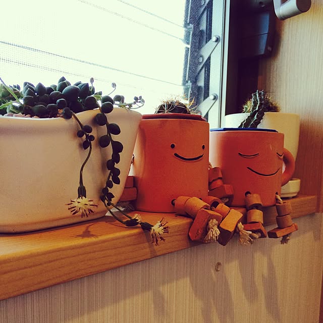 rikadonさんの実例写真