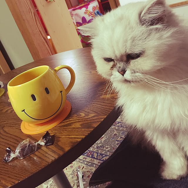 junさんの実例写真