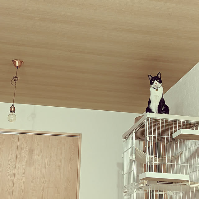 Helloさんの実例写真