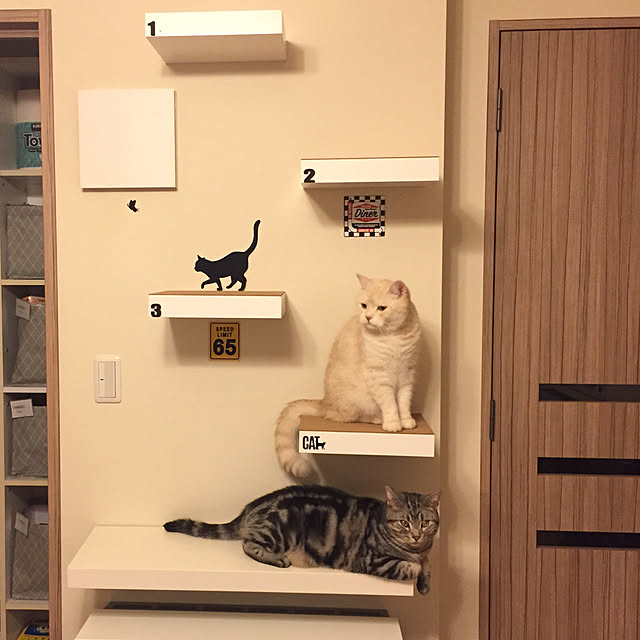 y.k.0123さんの実例写真
