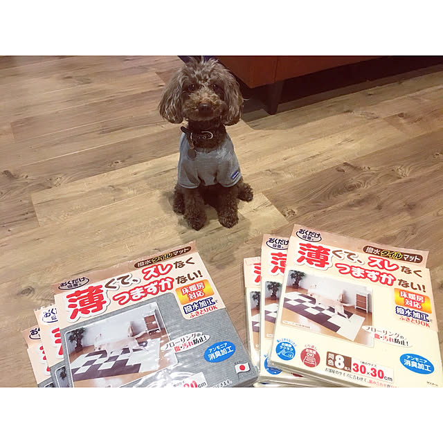 Sa-Yaさんの実例写真
