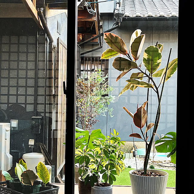 yukaringさんの実例写真