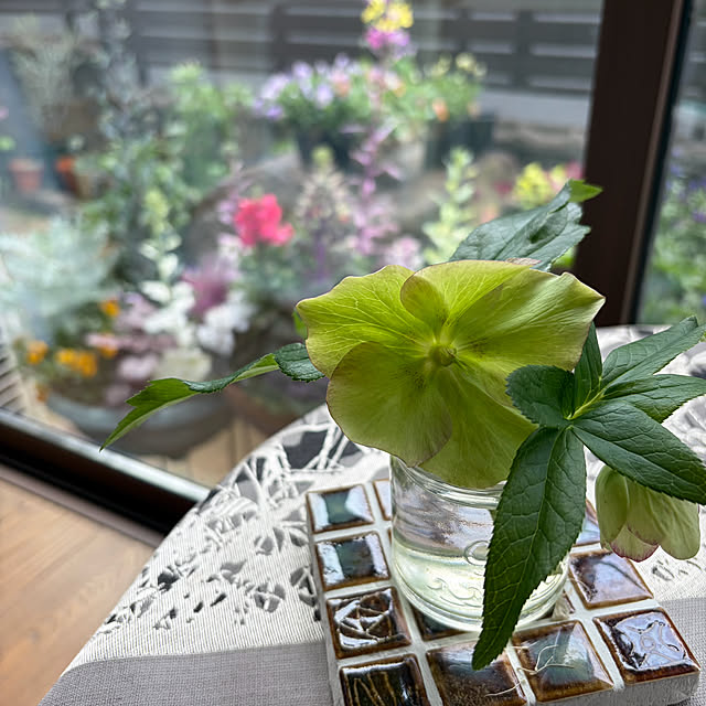 buchiさんの部屋