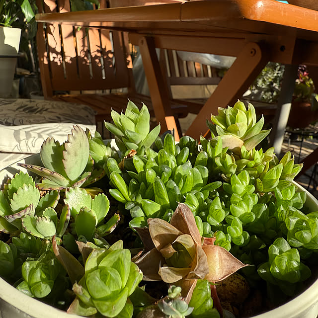 Aqettyさんの実例写真