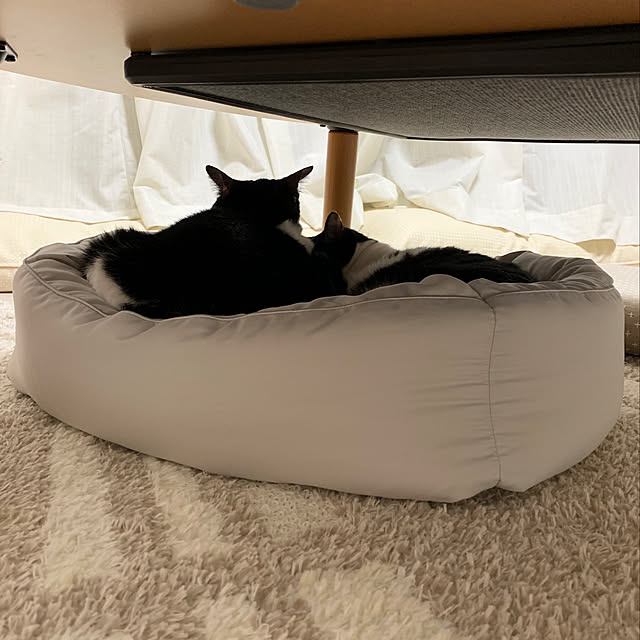 bikkeさんの実例写真