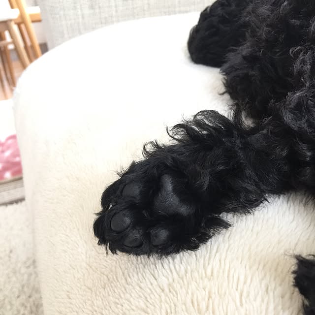 UNI.mamaさんの実例写真