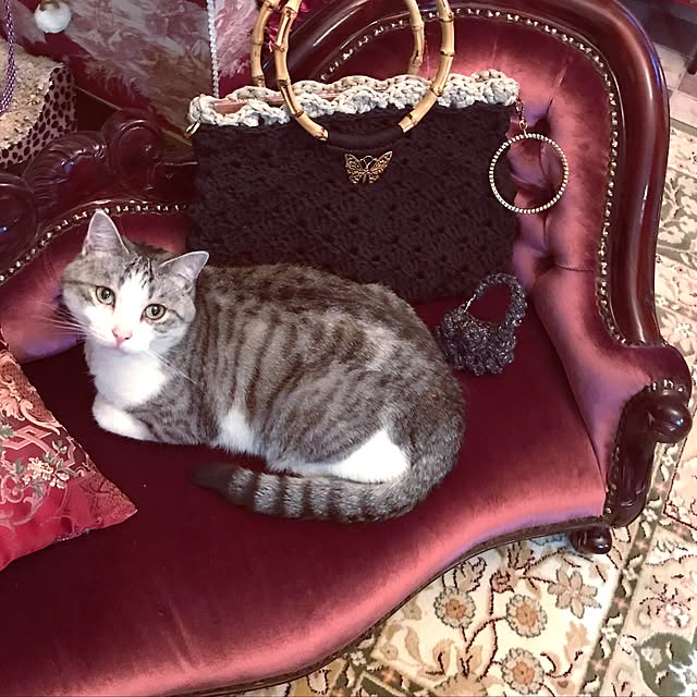 emmyyさんの実例写真