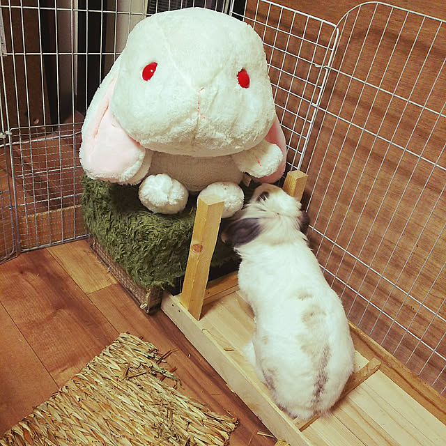 WASABIさんの実例写真