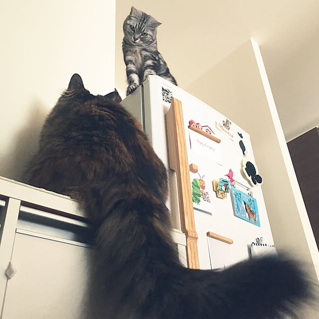 mikomaruさんの実例写真