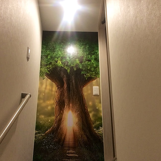 壁/天井のインテリア実例 - 2019-01-28 22:33:23