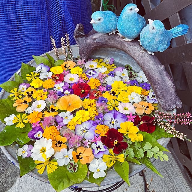 mocomocoさんの実例写真