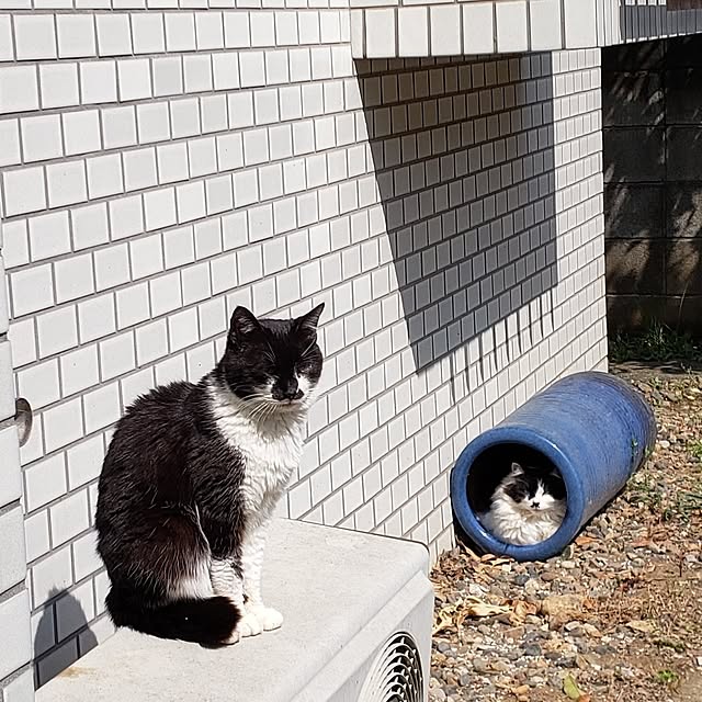Mayumi8888さんの実例写真