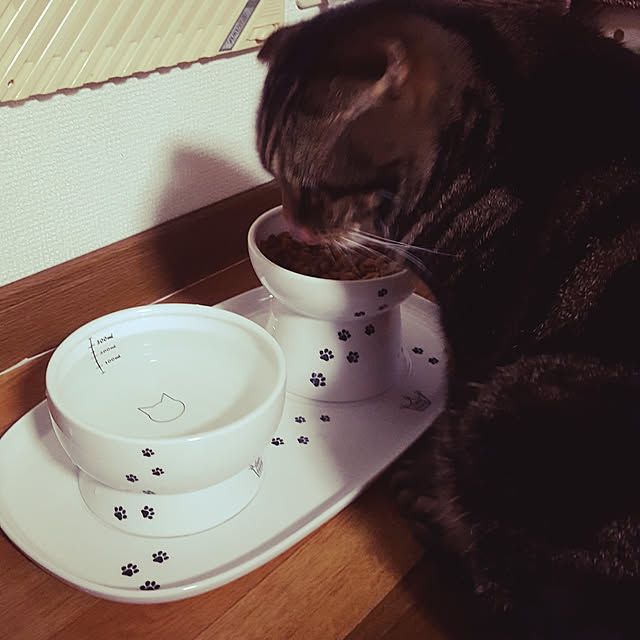 mi_iさんの実例写真