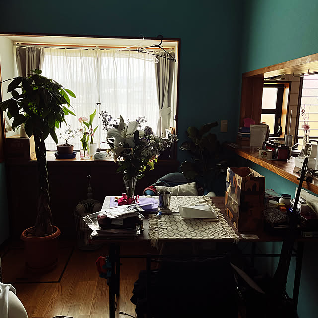 観葉植物/フェイクグリーン/リビングのインテリア実例 - 2021-04-24 10:15:49