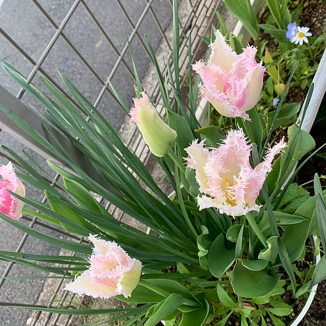 shiotanさんの部屋
