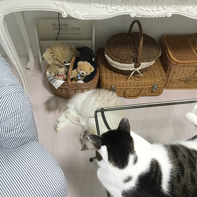 yuchiさんの実例写真