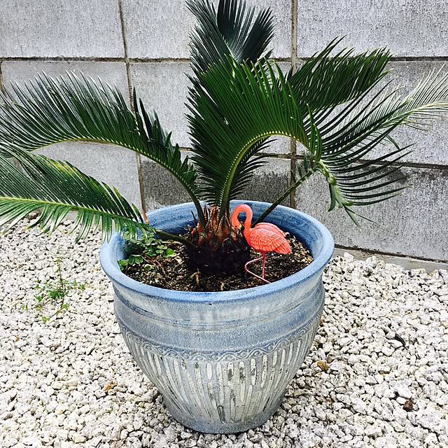 tomoさんの実例写真