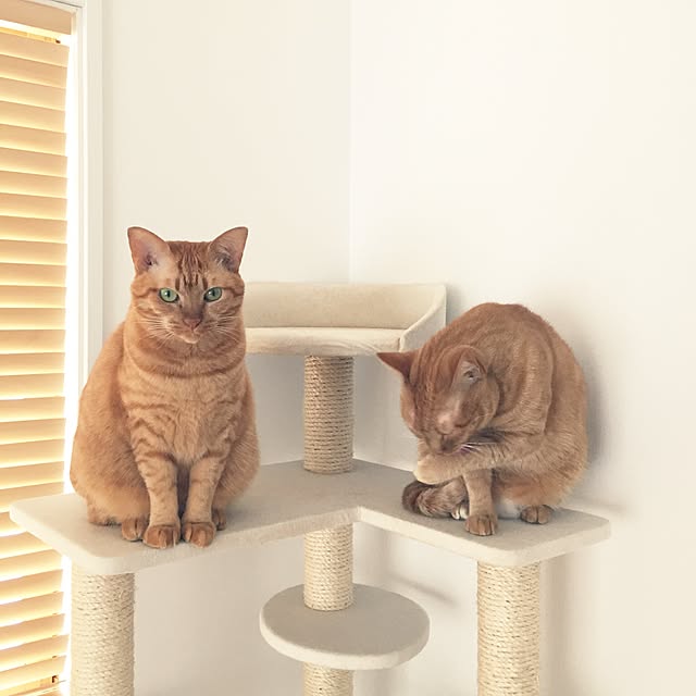 HRMLRさんの実例写真