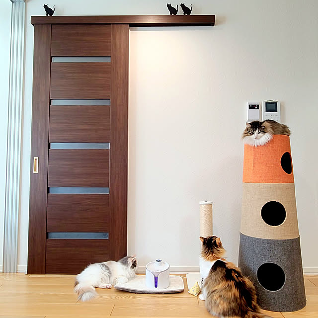 キャットタワー NECOTAのおすすめ商品とおしゃれな実例 キャットタワー NECOTAのおすすめ商品とおしゃれな実例