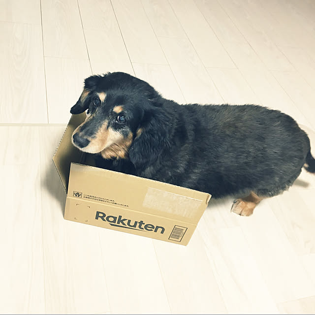 ohanaさんの実例写真