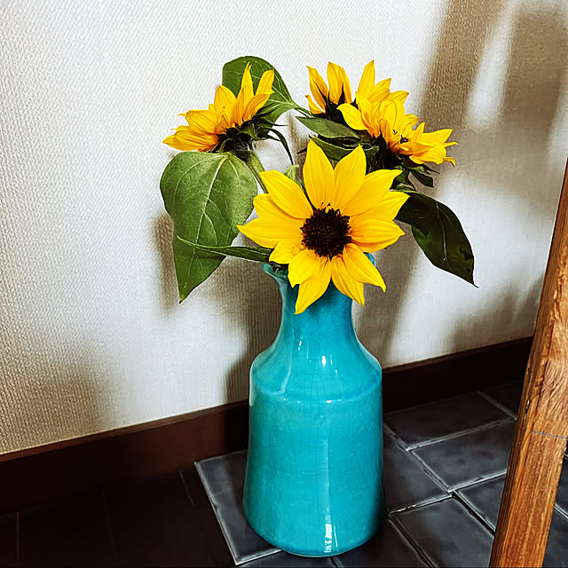 halu8686さんの実例写真