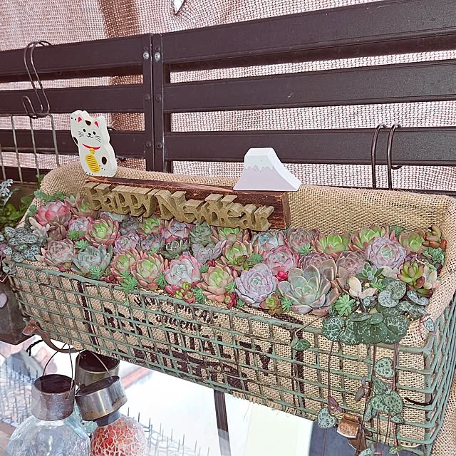 mocomocoさんの部屋