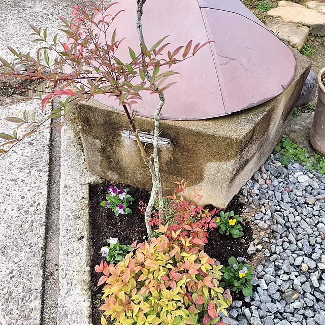 sumimarumiさんの部屋