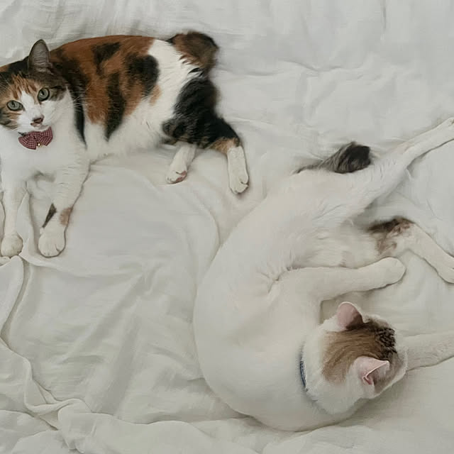 Misakiさんの部屋