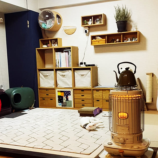 hanaさんの実例写真