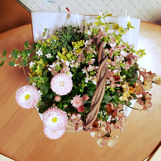 aoiさんの実例写真