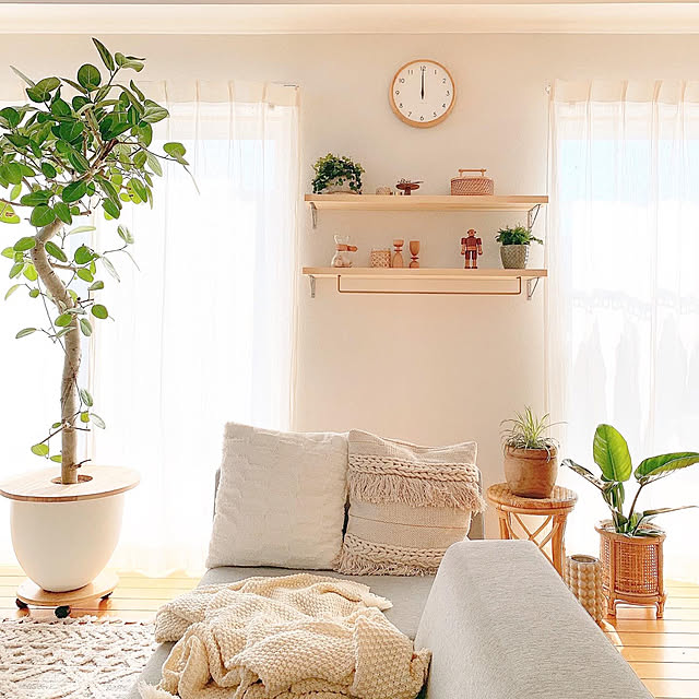 Boho Style/シンプルインテリア/観葉植物のある暮らし/リビングインテリア/観葉植物...などのインテリア実例 - 2021-01-21 16:09:40