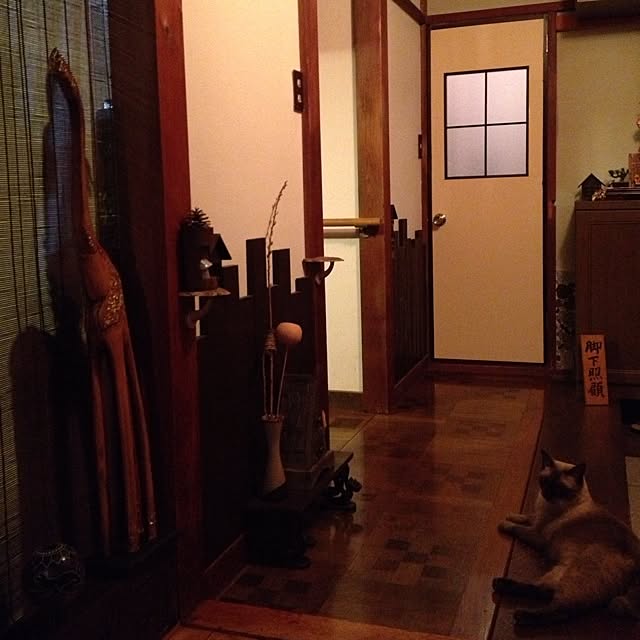 salyuさんの実例写真