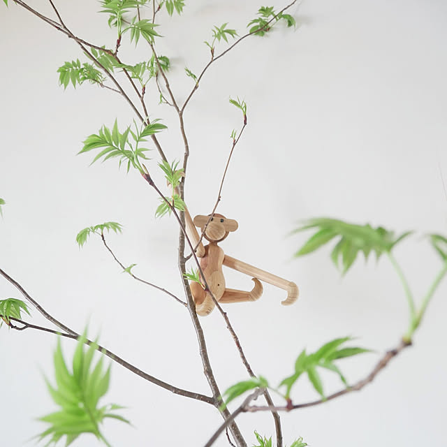 ボタニカルインテリア/ななかまど/若葉が次々に/枝/植物のある暮らし...などのインテリア実例 - 2022-04-27 12:37:19