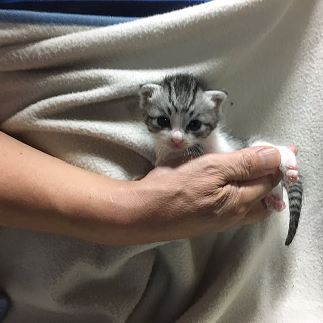 taitaiさんの実例写真