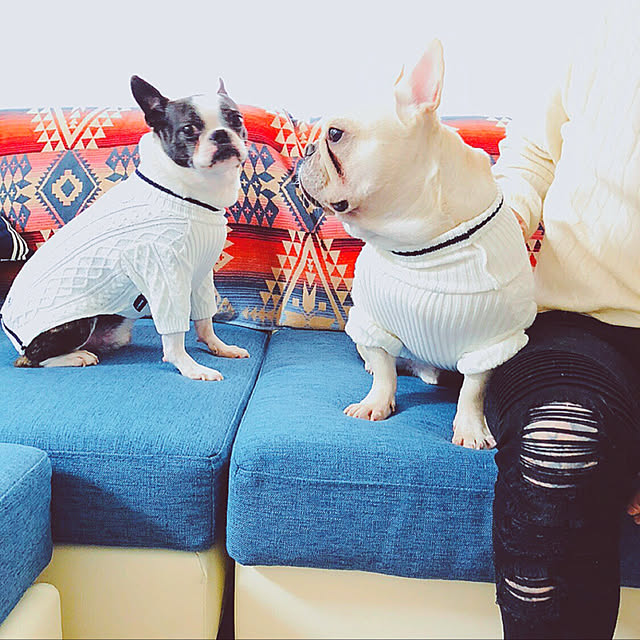 mii0106さんの実例写真